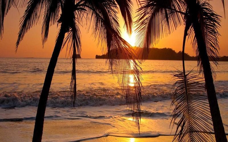 Hotel La Gaviota Tropical Playa Hermosa  Εξωτερικό φωτογραφία